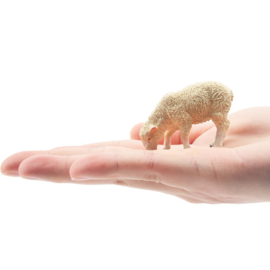 Foraging White Lamb Toymany