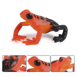 Poison dart frog  red