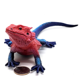 Mwanza Flat-Headed Rock Agama S101081