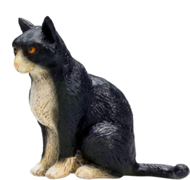 Kat zittend  Mojo 387371