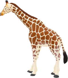 Giraffe vrouwtje Mojo 387006