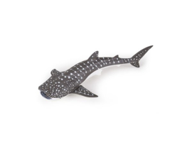 Young whale shark Papo 56046
