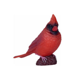 Rode kardinaal  Mojo