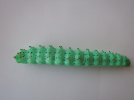 Rups turquoise  xl