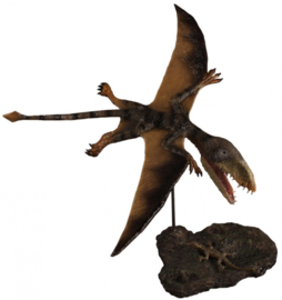 Dimorphodon "Judy" with lizard and rock
