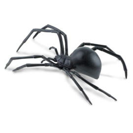 Black widow  XXL  S 545406