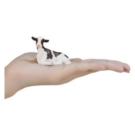 Holstein calf   Mojo 387082