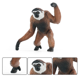 Gibbon  brown