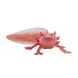 Axolotl   Mojö 381108 -    june 2025