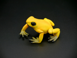 Yellow Equatorial frog   Papo  50174