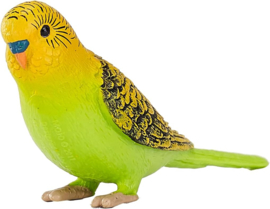 Budgerigar green Mojo 387262