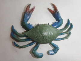 Blauwe zwemkrab