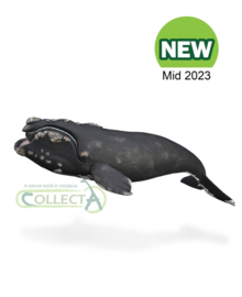 Right whale CollectA 88740