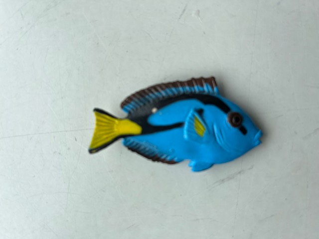 Tropische vissen   setje van 4