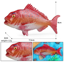 Red Squirrelfish