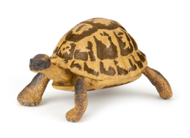 Hermann's tortoise   Papo 50264