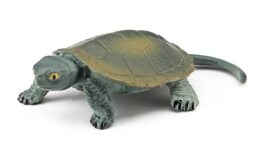 Schildpadden merkloos klein