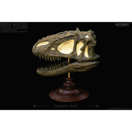 Yutyrannus huali  skull   Rebor