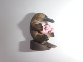 Platypus vogelbekdier met jongen