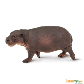 Pygmy Hippo   Safari Ltd S229229