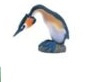 102  Great Crested Grebe   Fuut