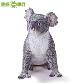 Koala XXL Recur