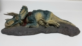 Triceratops  2