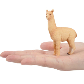 Male Alpaca Toymany
