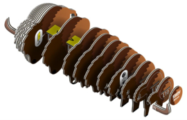 Bison  Eugy 3D