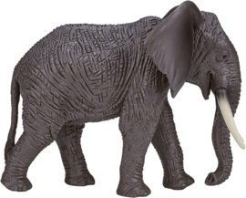 Elephant  African   Mojo 387189