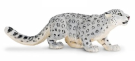 Snow Leopard   S237529
