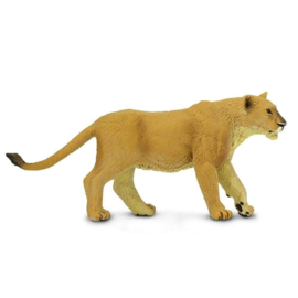 Lioness  S290329