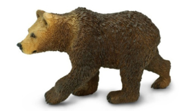 Grizzly bear cub  S181429