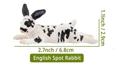 English spotted rabbit