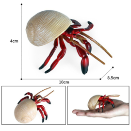 Heremietkreeft rood