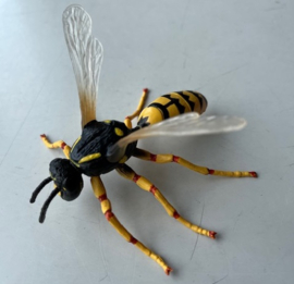 Wasp