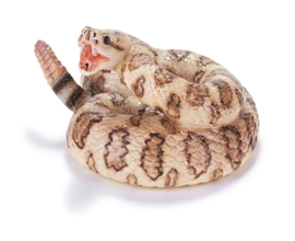 Rattlesnake  Recur 16068