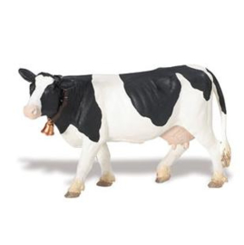 Holstein  cow S232629