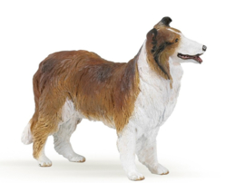 Collie Papo 30230