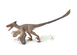 CollectA 80010 - Velociraptor Deluxe 1:6