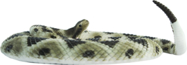 Rattle snake S269329  XXL