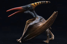 Pteranodon  merkloos