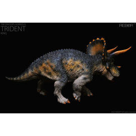 Triceratops horridus  "Trident King" REBOR 160963