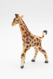 Giraffe baby Safari 242629