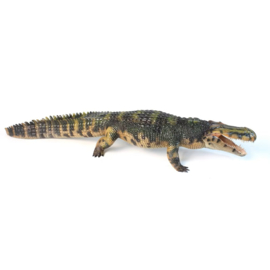 Purussaurus  LuMingXing  Haolonggood