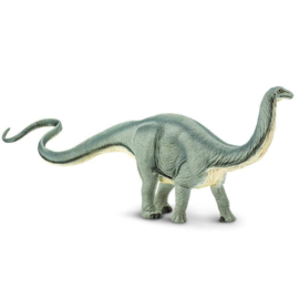 Apatosaurus Safari 300429