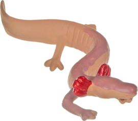 Cave dwellers    set of 8 figures