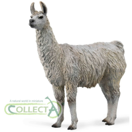 Lama  Llama  CollectA  88991  2023