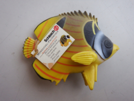 Raccoon Butterfly Fish Schleich 16251  retired