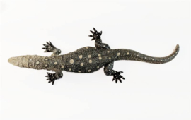 Perentie  (Monitor lizard) SR 00018